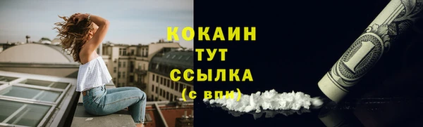 стаф Абаза