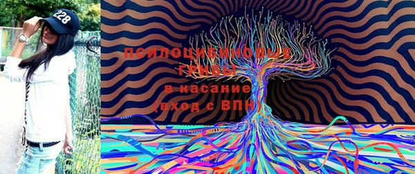 меф Алексин