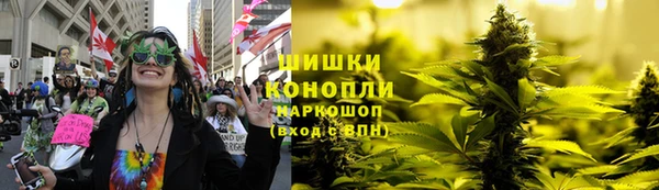 гидропоника Алзамай