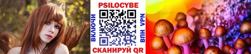 где купить наркотик  Новотитаровская  Псилоцибиновые грибы Cubensis 