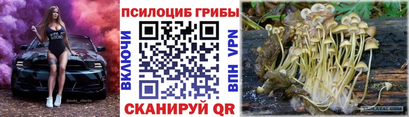 Псилоцибиновые грибы MAGIC MUSHROOMS Новотитаровская
