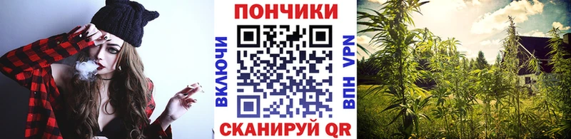 hydra ССЫЛКА Новотитаровская Канабис план